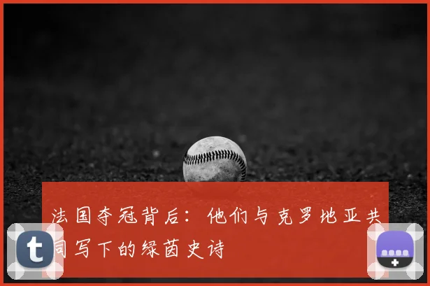 法国夺冠背后：他们与克罗地亚共同写下的绿茵史诗