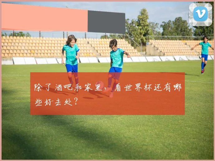 除了酒吧和家里,看世界杯还有哪些好去处?