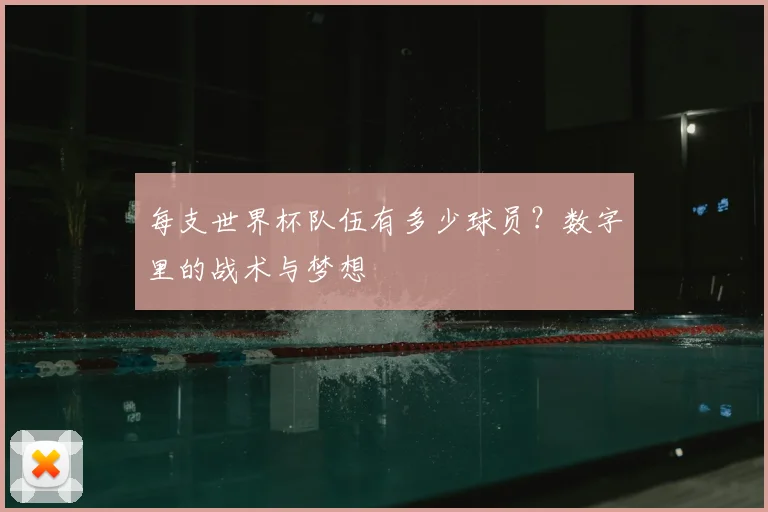 每支世界杯队伍有多少球员？数字里的战术与梦想