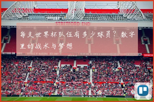 每支世界杯队伍有多少球员？数字里的战术与梦想