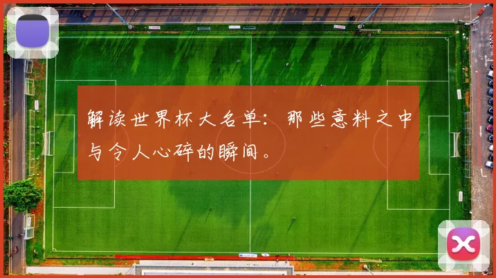 解读世界杯大名单：那些意料之中与令人心碎的瞬间。