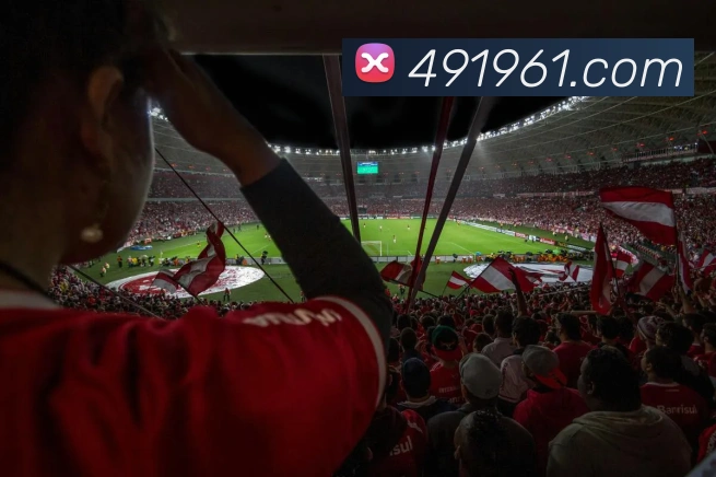 多媒体互动体验